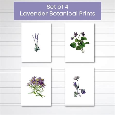 Lavender Botanical Prints - Finding Time To Fly