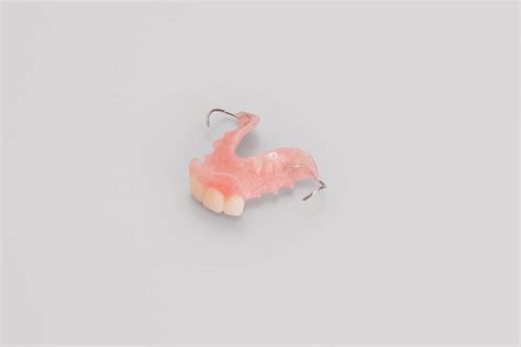 Acrylic Partial Dentures - Dandy