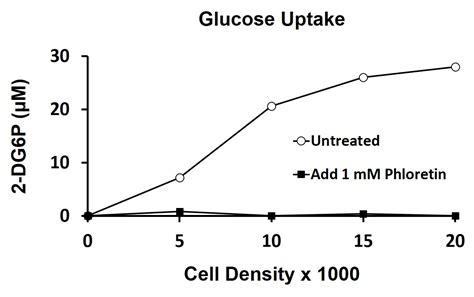 Glucose Uptake Assay Fluorometric Arg Arigobio