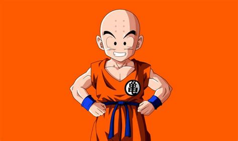 How old is Krillin? - Dragon Ball Guru