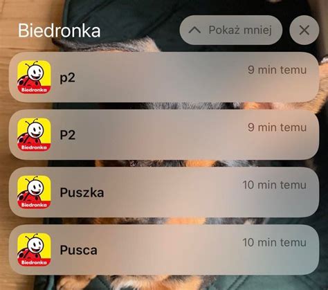 Podejrzane Powiadomienia W Aplikacji Biedronki O Co Chodzi Kobieta