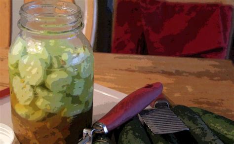 Too many cucumbers? Try keeping a pickle jar | The Accidental Blogger