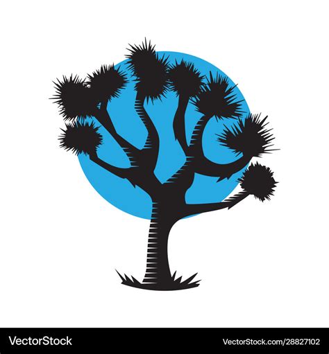 Joshua tree silhouette over sunset Royalty Free Vector Image