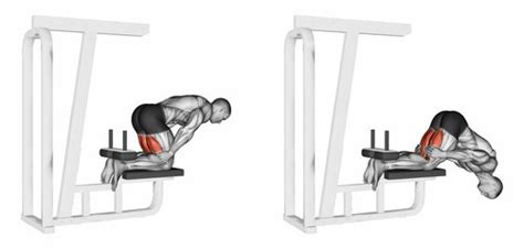 Sdbot S Floor Glute Ham Raise Machine - Carpet Vidalondon