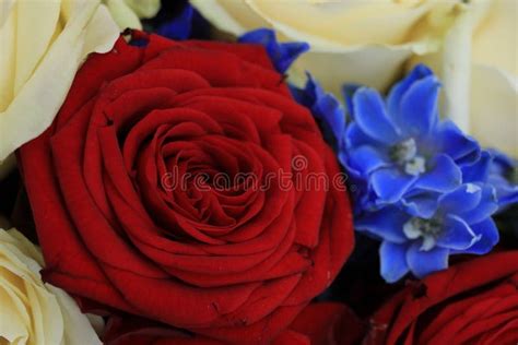 Red White and Blue Wedding Flowers Stock Photo - Image of blue, centerpiece: 221616378