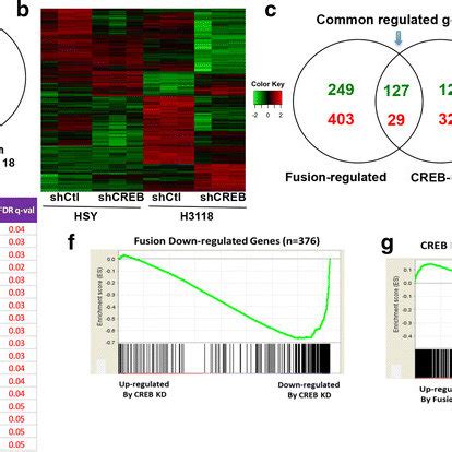 Transcriptional profiling analysis revealed target gene candidates ... 