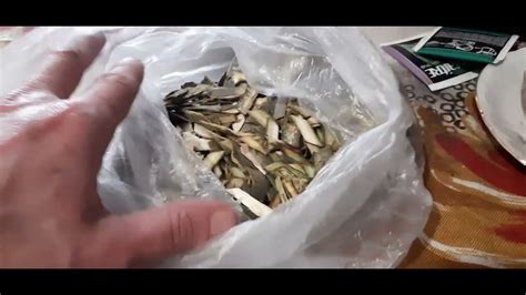 Осиновая кора и квас от Филипповских: - YouTube