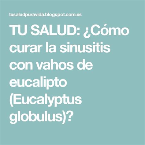 Tu Salud C Mo Curar La Sinusitis Con Vahos De Eucalipto Eucalyptus