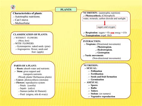 SCIENCE 5. UNIT 4. diagram by ceipsantaana1 - Issuu