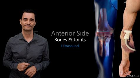 Ultrasound Of The Elbow Anterior Side Bones And Joints Youtube