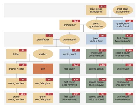 Cousin Family Tree Diagram