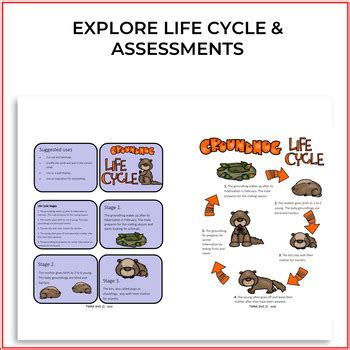 Groundhog Life Cycle | Biomimicry Design Nature Compatible with NGSS