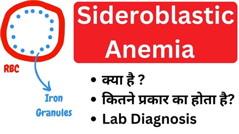 Sideroblastic Anemia Types Of Sideroblastic Anemia Lab Diagnosis Pathology Youtube