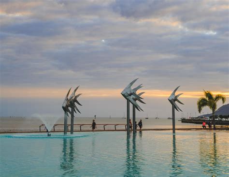 The Best 7 day Cairns itinerary: reef, rainforest and waterfalls — Walk