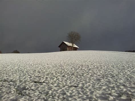 Banco De Imagens Panorama Mar Rvore Areia Montanha Inverno