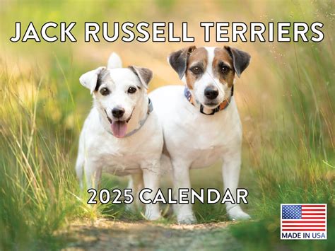 Jack Russell Terrier Calendar 2025 Doris Germain