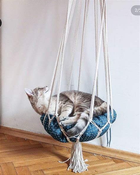 Macrame Gato Hamaca Cama De Gato Colgante Macrame Cat Swing Etsy