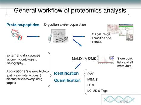 PPT - “Proteomics & Bioinformatics” PowerPoint Presentation - ID:6590358