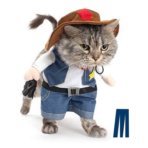 cat costume  halloween home