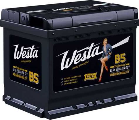 Аккумулятор WESTA и другие украинские марки АКБ