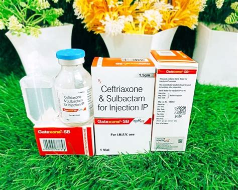 Ceftriaxone Mg Salbactam Mg Strength Gm At Rs Vial