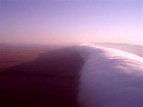 Утренняя глория — ХОЧУ ВСЕ ЗНАТЬ