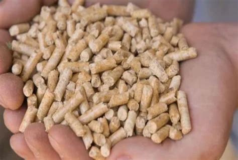 Bio Mass Wood Pellet At Rs Tonne Biomass Wood Pellet In