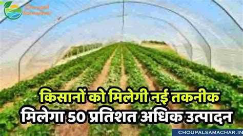 Vegetable Farming सब्जियों की खेती करने वाले किसानों को मिलेगी नई