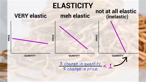 Inelastic Definition