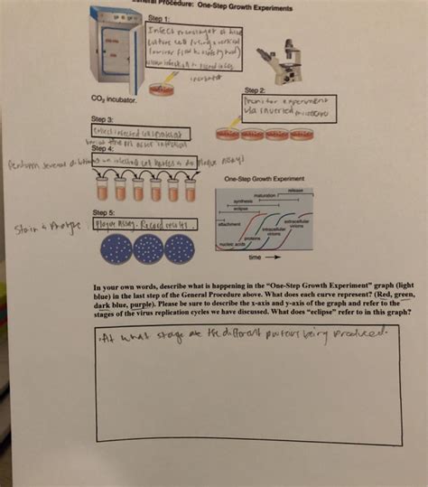 Solved Why Do Vou Think Naked Viruses Le In The Environment Chegg