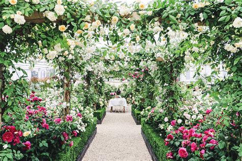 Chelsea Flower Show Gold Medal Winners Moira Tersina