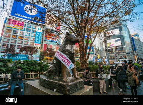 Hachiko Monument View Of Bronze Statue Of Hachiko At Shibuya Station