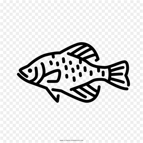 crappie clip art 20 free Cliparts | Download images on Clipground 2025