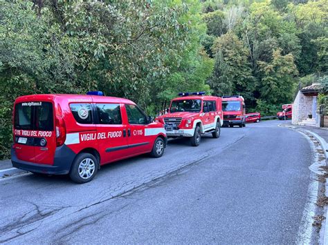 Si Perde Nei Boschi Tra Zogno E Sorisole Dopo Quasi 24 Ore Di Ricerche