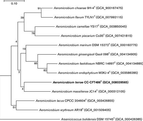 Phylogenomic Tree Inferred Using UBCGs Concatenated Alignment Of 92