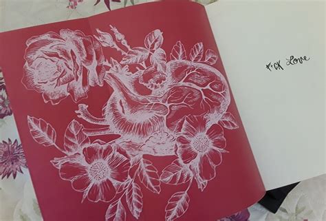 Prefácio Resenha Fuck Love Louco Amor Tarryn Fisher