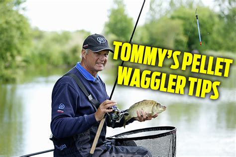 Pellet Waggler Tips — Angling Times