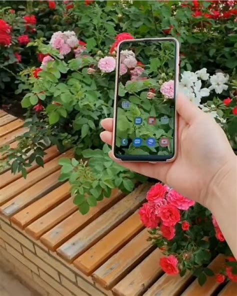 Мобильная видеосьемка | Electronic products, Phone, Phone cases