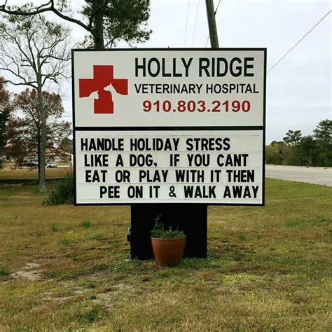 14 Hilarious Vet Signs