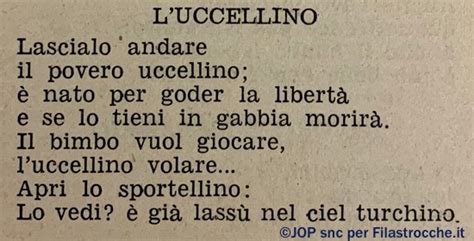 L Uccellino Poesia Di Teresa Romei Correggi In Filastrocche It