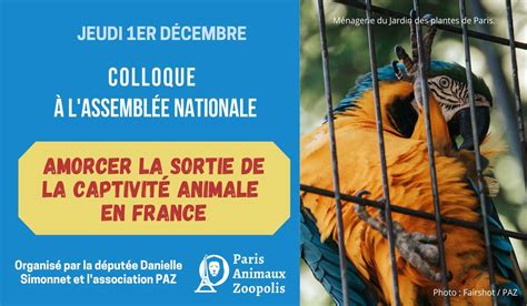 Colloque à lAssemblée nationale le 1er décembre amorcer la sortie de