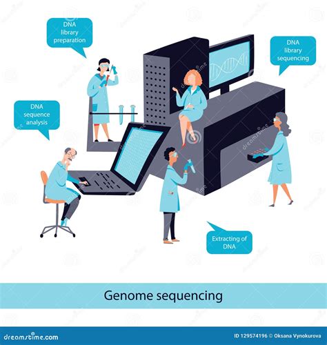 Genome Sequencing Vector Concept DNA Test Steps Stock Vector