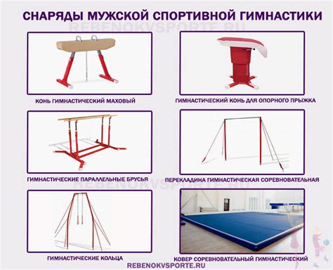 Снаряды в спортивной гимнастике: виды, характеристика, история ...