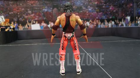 Collector S Corner Mattel WWE Elite Bret Hart Goldberg 2 Pack In