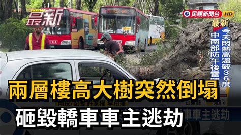 兩層樓高大樹突然倒塌 砸毀轎車車主逃劫－民視新聞 Youtube