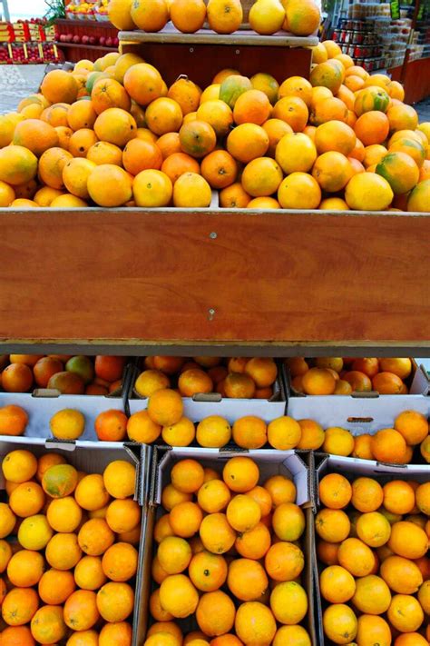 47 Types of Oranges 🍊 A-to-Z (Photos+) - Butter N Thyme 