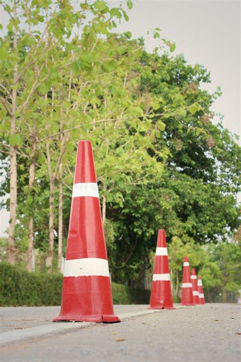 Orange Traffic Cones on the Road at the Park. Stock Photo - Image of ...