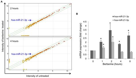 A Scatter Plot Showing A Comparison Of The Mirna Expression Profiles