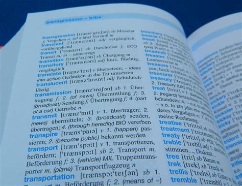 German and Spanish Translations | Officia Digital LLC