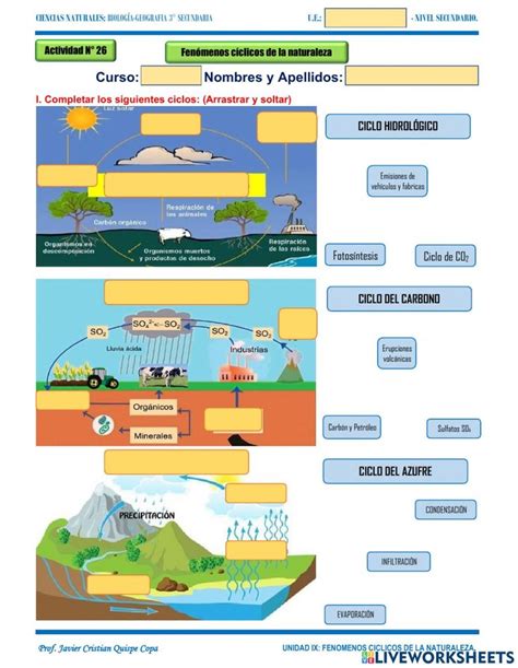 26 Ciclos Biogeoquimicos Worksheet Resumo